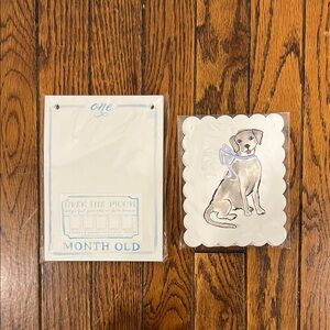 Over the Moon Add-A-Picture Monthly Banner and “ONE” Highchair Banner